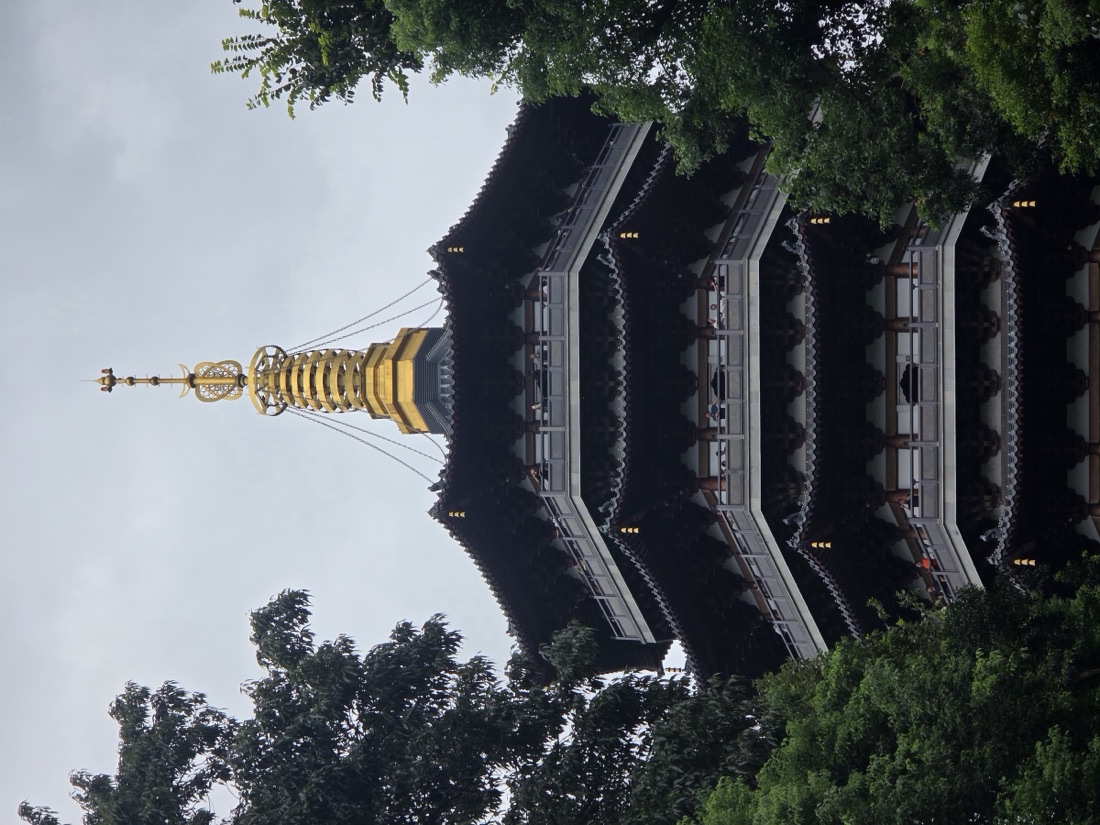 Leifeng Pagoda seen through trees